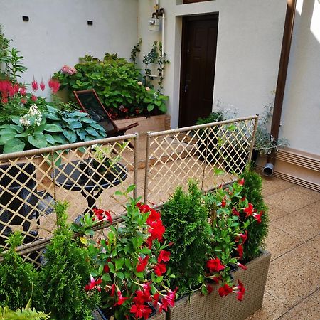 Cozy Green House Bukurešť Exteriér fotografie