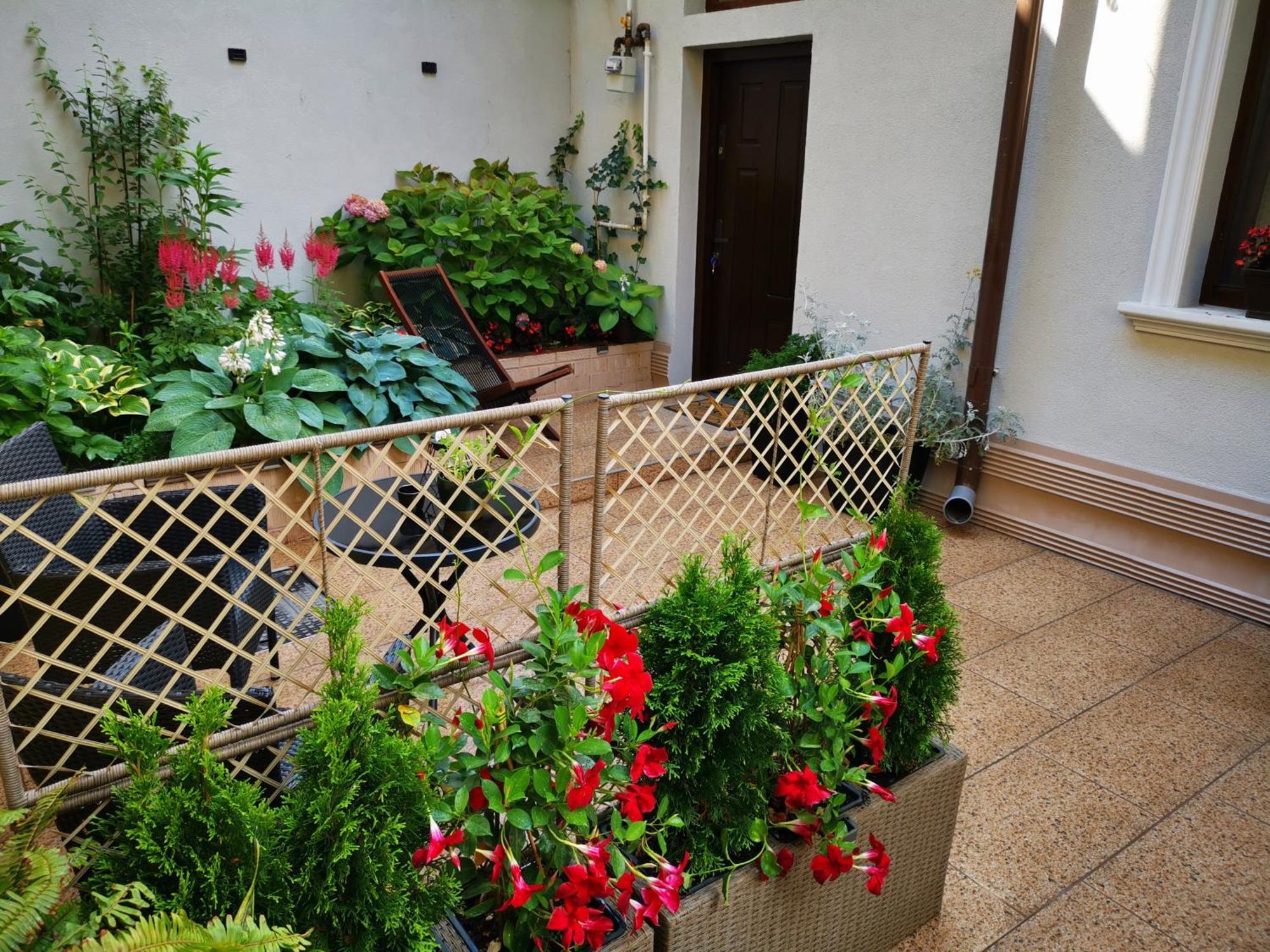 Cozy Green House Bukurešť Exteriér fotografie